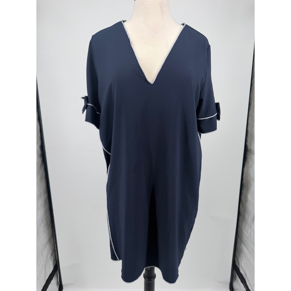 Zara Basic Shift Dress